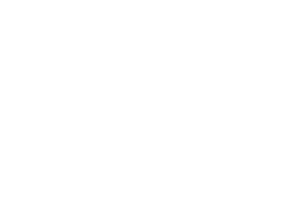 Icon water